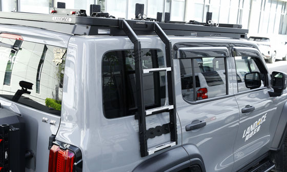 Tank 300 500 SUV accessoires 4x4 hors route échelle latérale de toit échelle latérale pour l'année 2020-